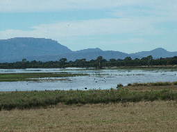 Wetland on Moyston West Rd